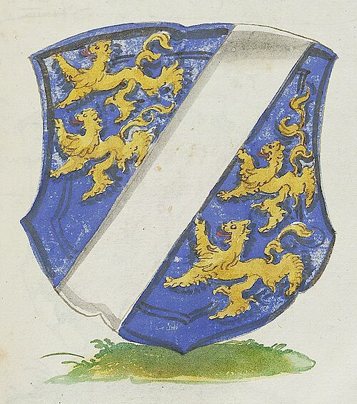 Counts of Dillingen